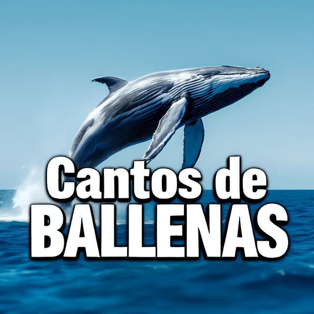 Cantos de Ballenas - Sonidos De Ballenas