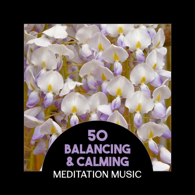 50 Balancing & Calming Meditation Music – Soothe Your Soul with Soft Sounds, Best Music Session for Relaxation, Stress Relief, Regeneration & Harmony - Robert Armisden