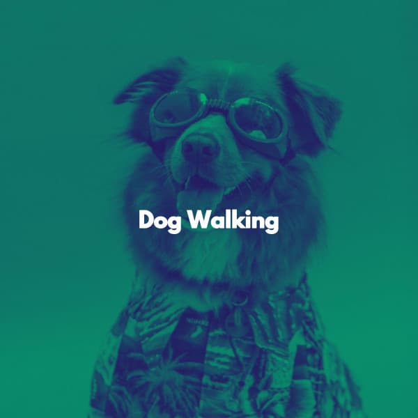 Dog Walking - Paris Cafe Jazz