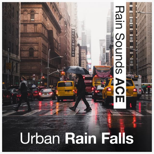 Urban Rain Falls - Rain Sounds ACE