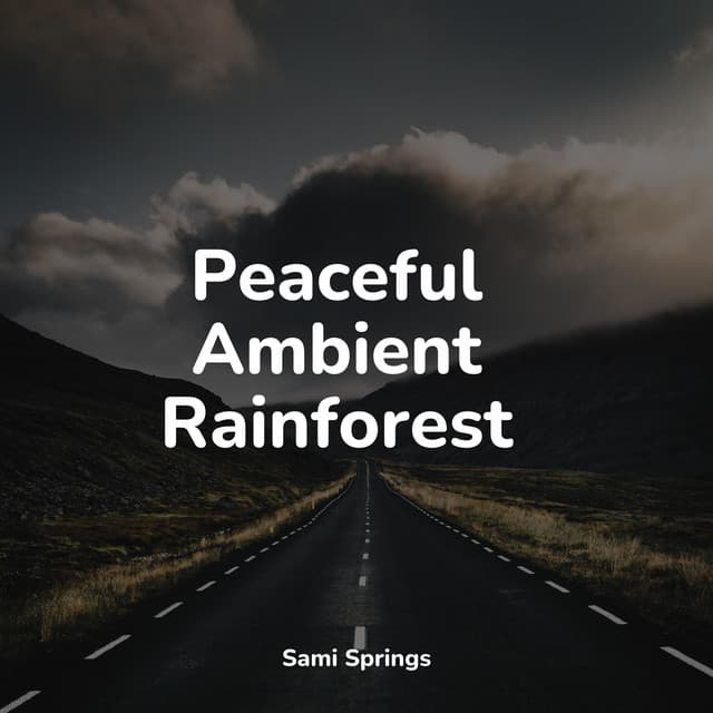 Peaceful Ambient Rainforest - Relajación