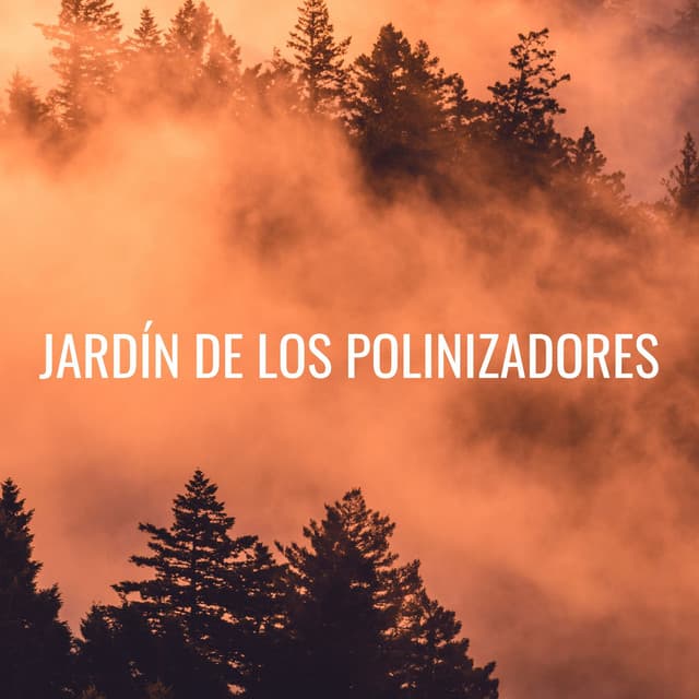 Jardín De Los Polinizadores - Jardín del tiempo