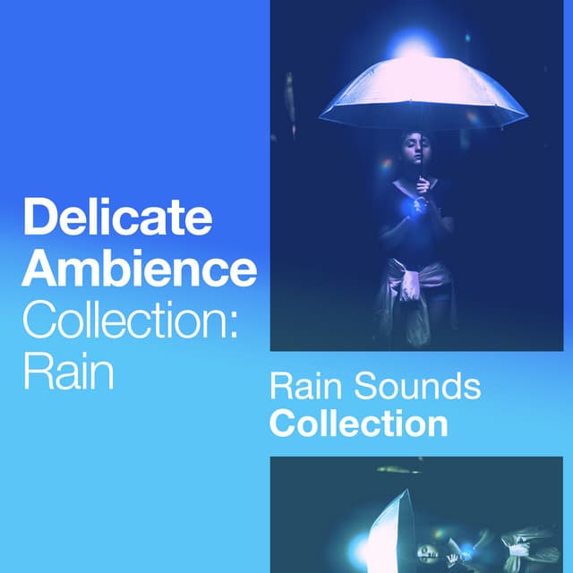 Delicate Ambience Collection: Rain - Rain Sounds Collection