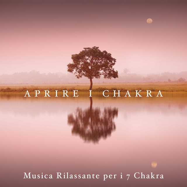 Aprire i Chakra - Musica RIlassante per i 7 Chakra con Rumore Bianco - Chakra Dreamers