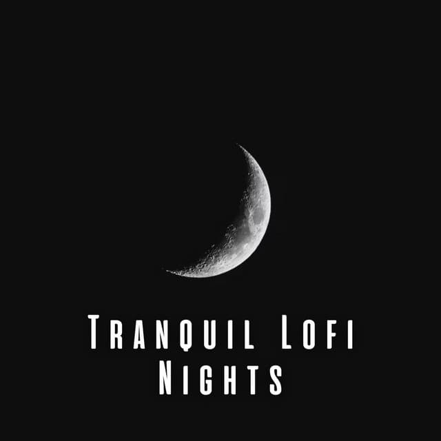 Tranquil Lofi Nights: Sleepy Soundscapes - Lofi Night Drives
