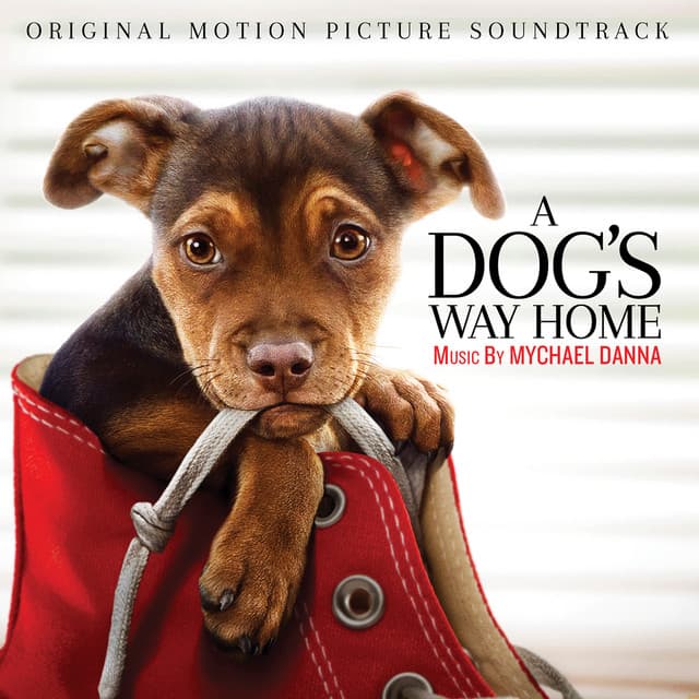 A Dog's Way Home - Mychael Danna