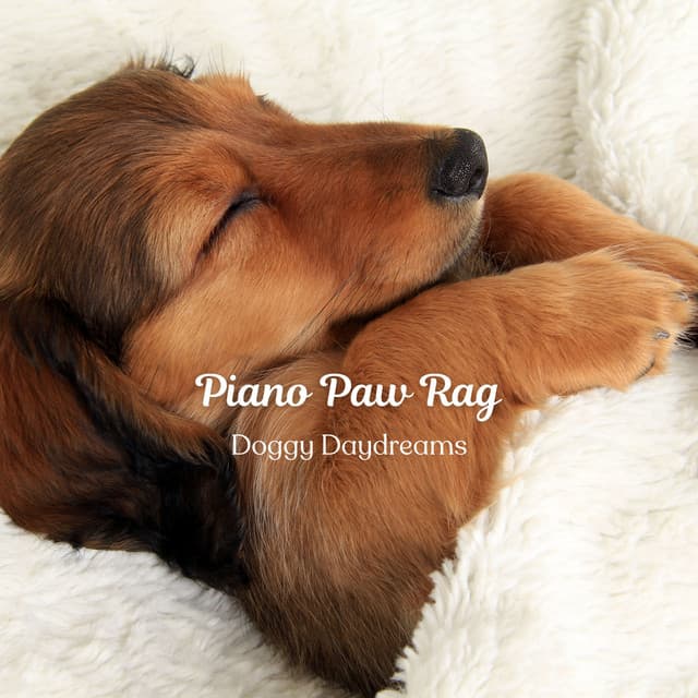 Piano Paw Rag: Doggy Daydreams - Piano Jazz Paris