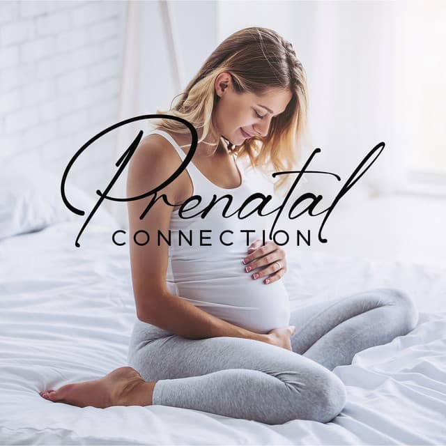 Prenatal Connection - Peaceful Pregnancy Musical Kit