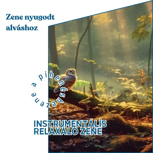 Zene nyugodt alváshoz: Instrumentális relaxáló zene - Zene a Pihenéshez