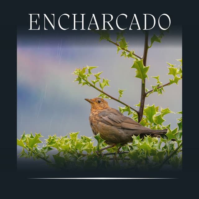 Encharcado - Barulho de Chuva Forte