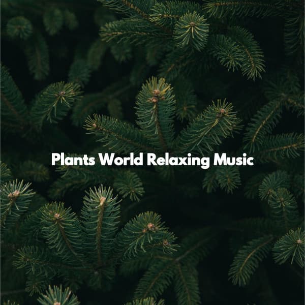 Plants World Relaxing Music - Coffee Shop Smooth Jazz