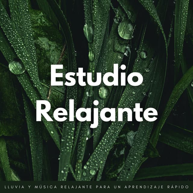 Estudio Relajante: Lluvia Y Música Relajante Para Un Aprendizaje Rápido - Fábrica de Sonidos de Lluvia STHLM