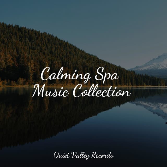 Calming Spa Music Collection - Water Soundscapes