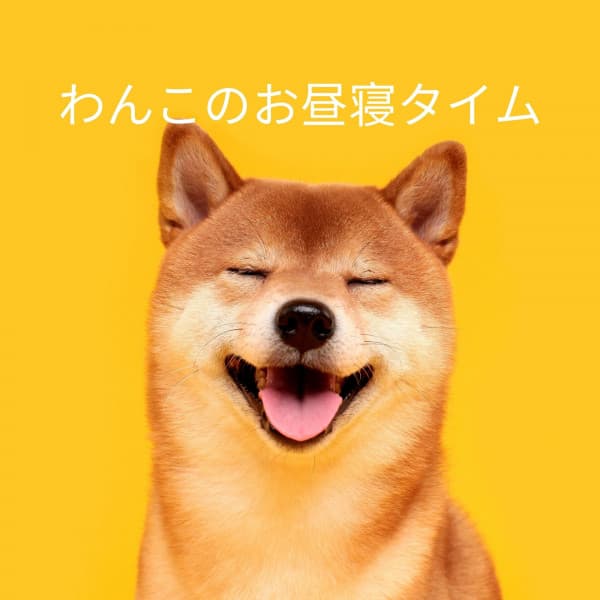 わんこのお昼寝タイム - Deluxe Elevator Music