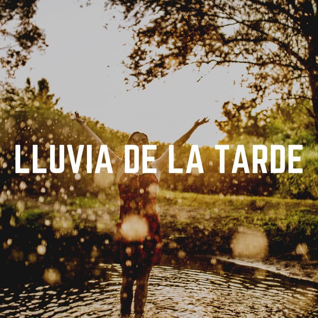 Lluvia de la Tarde - Sonidos De Lluvia