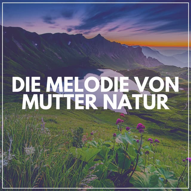 Die Melodie von Mutter Natur - Naturgeräusche