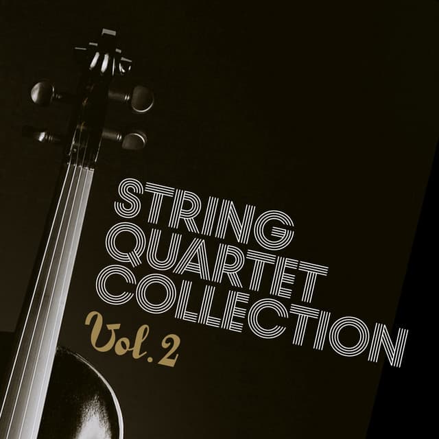 String Quartet Collection, Vol. 2 - Rudi Mahall Quartett