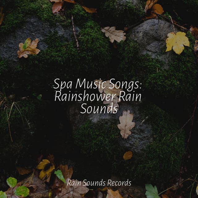 Spa Music Songs: Rainshower Rain Sounds - Relaxation