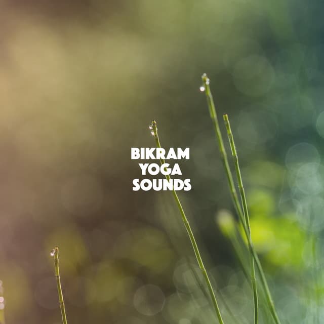 Bikram Yoga Sounds - Relaxation And Meditation