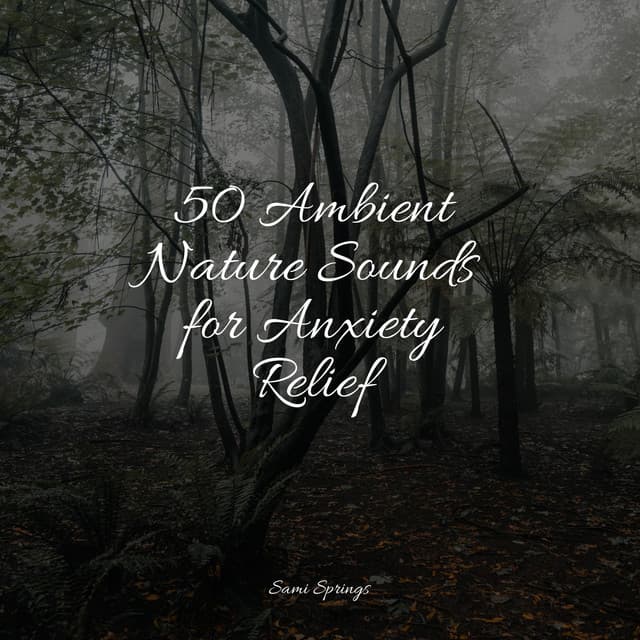 50 Ambient Nature Sounds for Anxiety Relief - The White Noise Zen & Meditation Sound Lab
