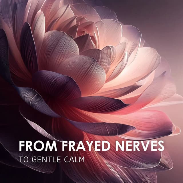 From Frayed Nerves to Gentle Calm: Soothe Your Anxieties and Find Refuge in Your Inner Sanctuary - Total Relax Music Ambient