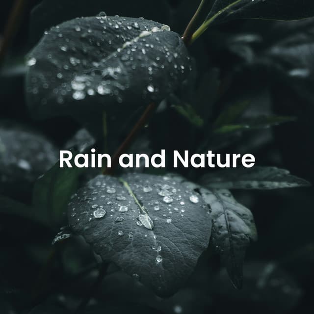 Natural Harmony: Relaxing Sounds of the Wilderness - Nature Field Recordings