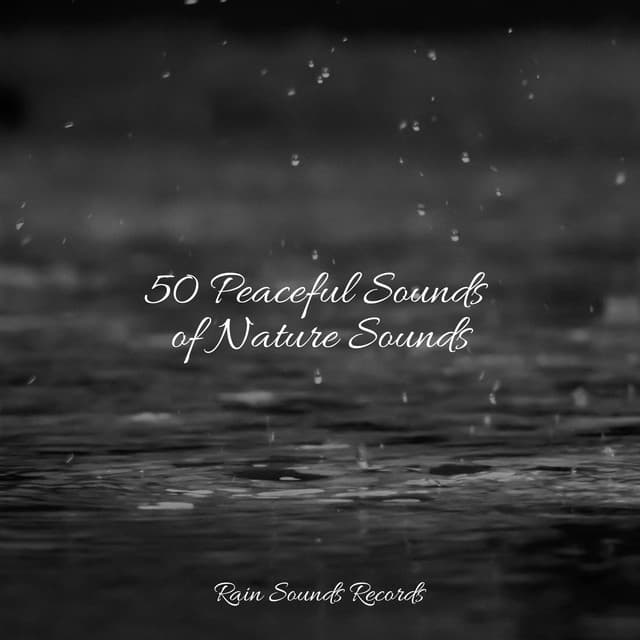 50 Peaceful Sounds of Nature Sounds - Canciones de Cuna para Bebés Acadèmico