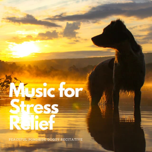 Music for Stress Relief: Peaceful Pondside Doggy Recitative - Epic Soundscapes