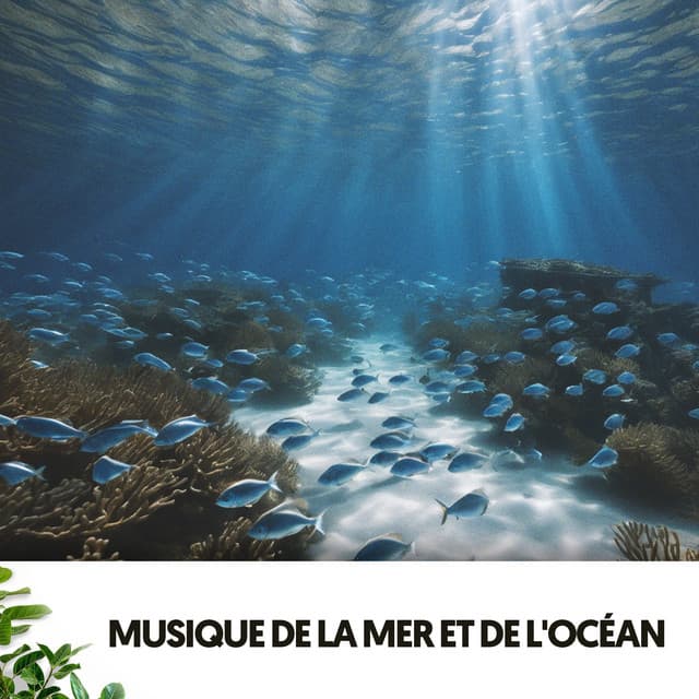 Sons de l'Océan et de la Mer : Mélodies sous les Vagues - Relajacion