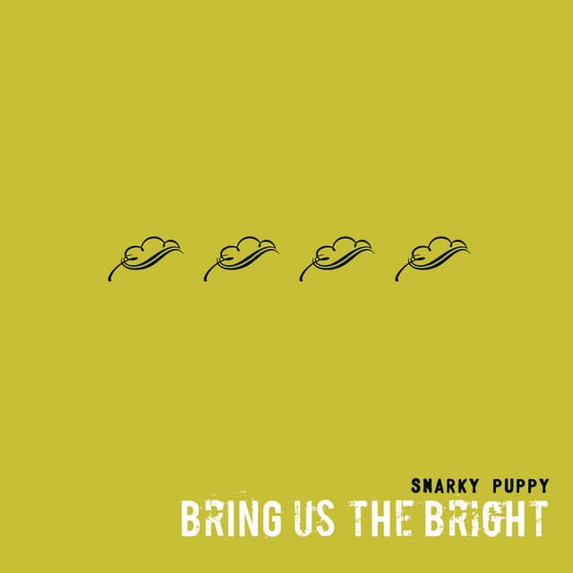 Bring Us The Bright - Snarky Puppy