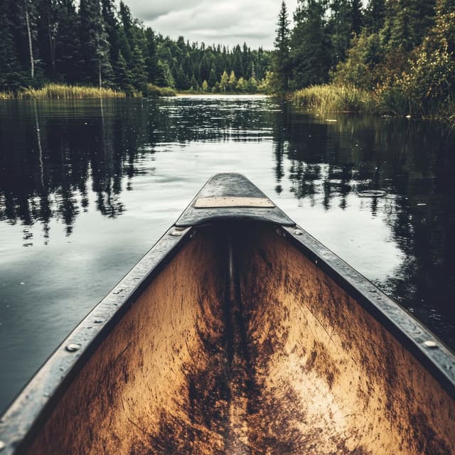 Relaxation Harmony: Orchestral Music for Peaceful Evenings - Jason Humphries