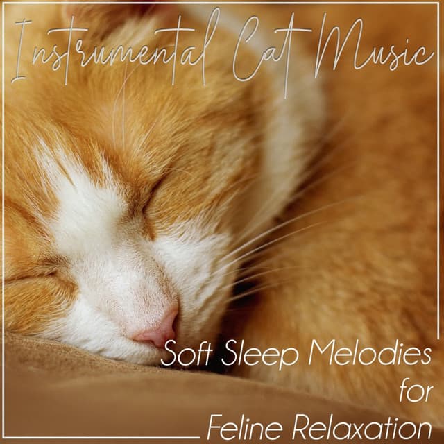 Instrumental Cat Music: Soft Sleep Melodies for Feline Relaxation - RelaxMyCat