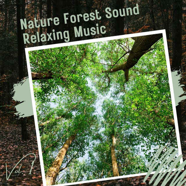 Nature Forest Sound Relaxing Music Vol. 1 - Relaxing Music