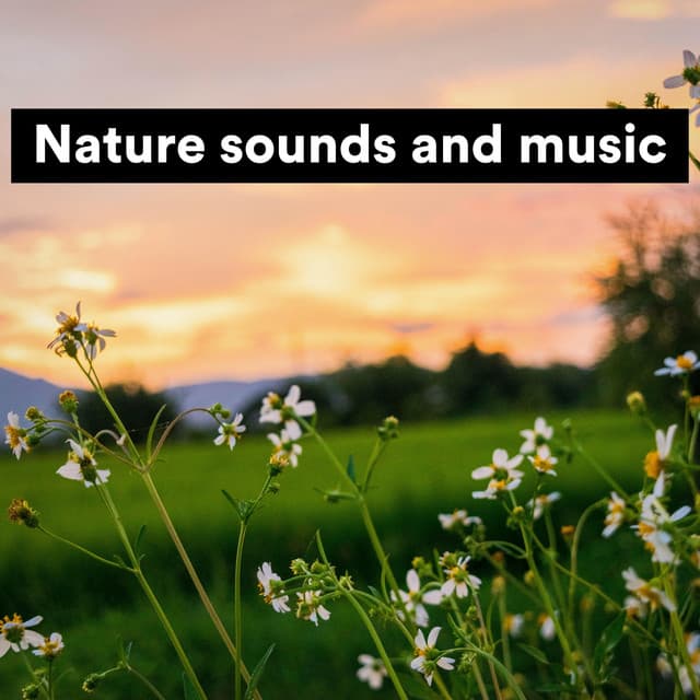 Nature Sounds and Music - Nature Sound Series