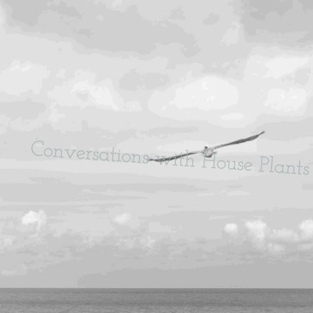Conversations with House Plants - Eon Wilder