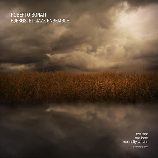 Nor Sea, Nor Land, Nor Salty Waves: A Nordic Story - Roberto Bonati