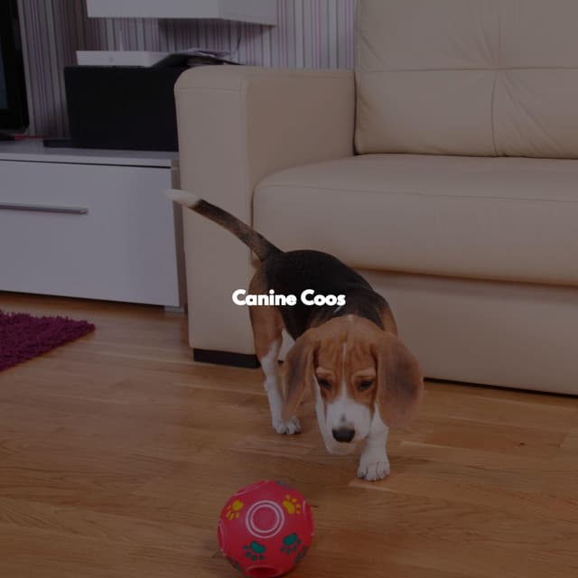 Canine Coos - Good Morning Jazz