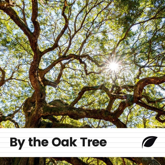By the Oak Tree - Memorable
