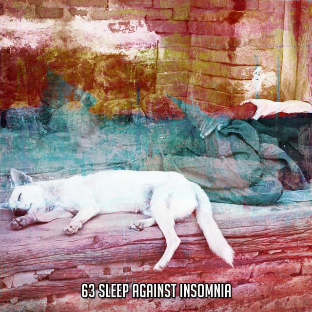 63 Sleep Against Insomnia - Sounds of Nature Relaxation
