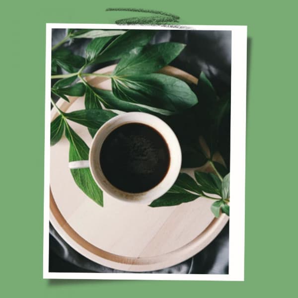 Backdrop for Cool with Coffee - Understated Jazz Organ and Guitar - Autumn Jazz Ambient