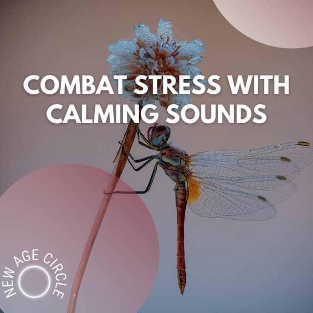 Combat Stress with Calming Sounds - New Age Circle