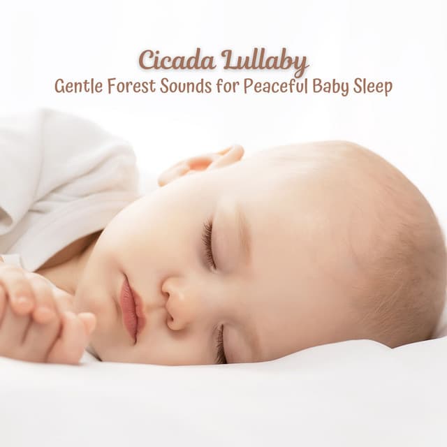 Cicada Lullaby: Gentle Forest Sounds for Peaceful Baby Sleep - Rainforest Sounds