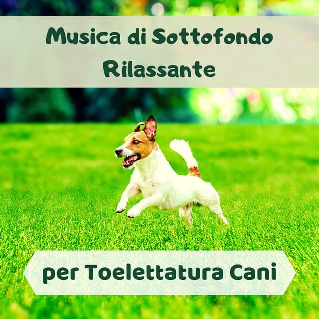 Musica di sottofondo rilassante per toelettatura cani - Musica Spa