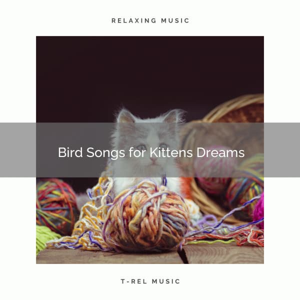 Bird Songs for Kittens Dreams - Music for Relaxing Cats