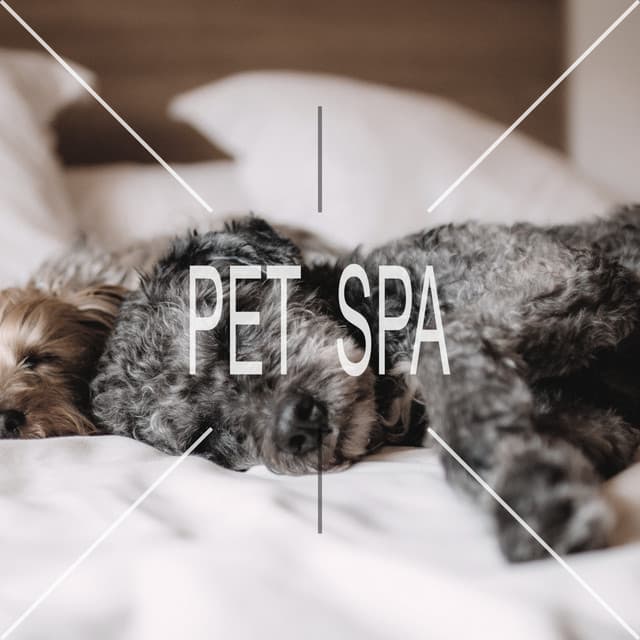 Pet Spa - Pet Care Music Therapy