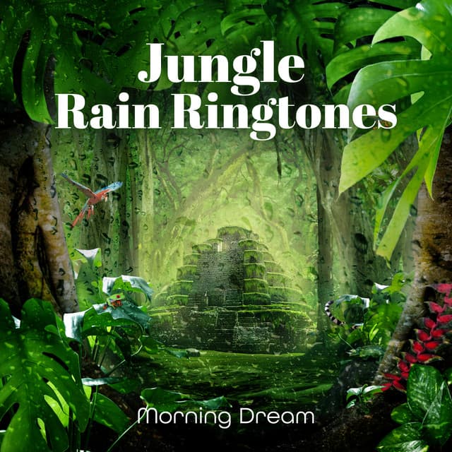 Jungle Rain Ringtones: Morning Dream - Nature Zone