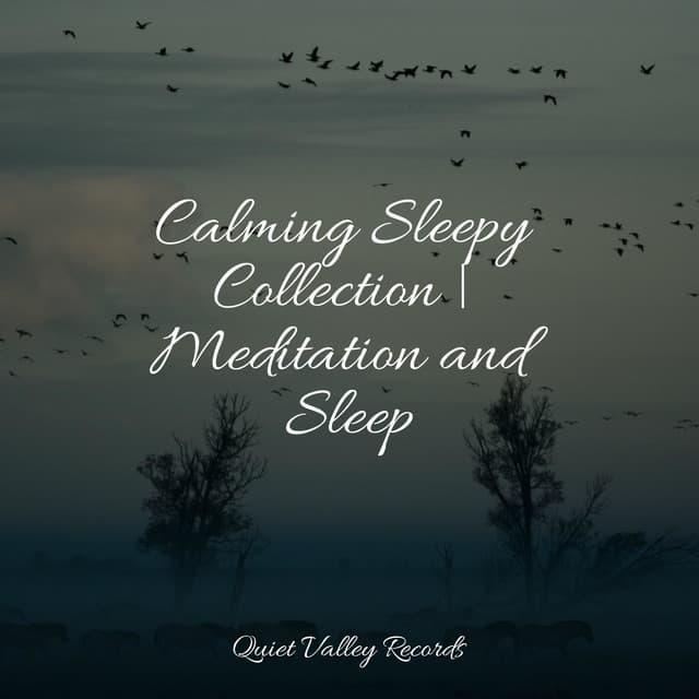Calming Sleepy Collection | Meditation and Sleep - Rainfall
