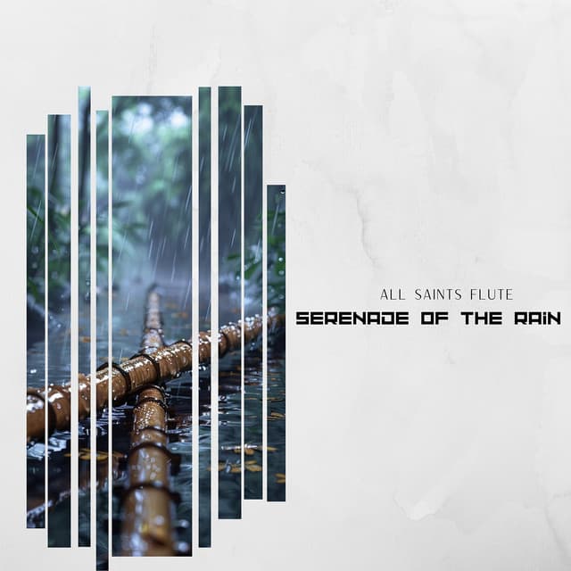 Serenade of the Rain: Enchanted Flute Echoes Beneath the Whispering Canopy of an Ancient Forest - All Saints Flute