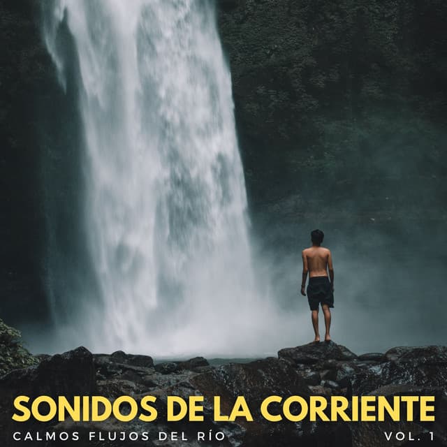 Sonidos De La Corriente: Calmos Flujos Del Río Vol. 1 - Sonido del Agua Ruido Blanco Natural
