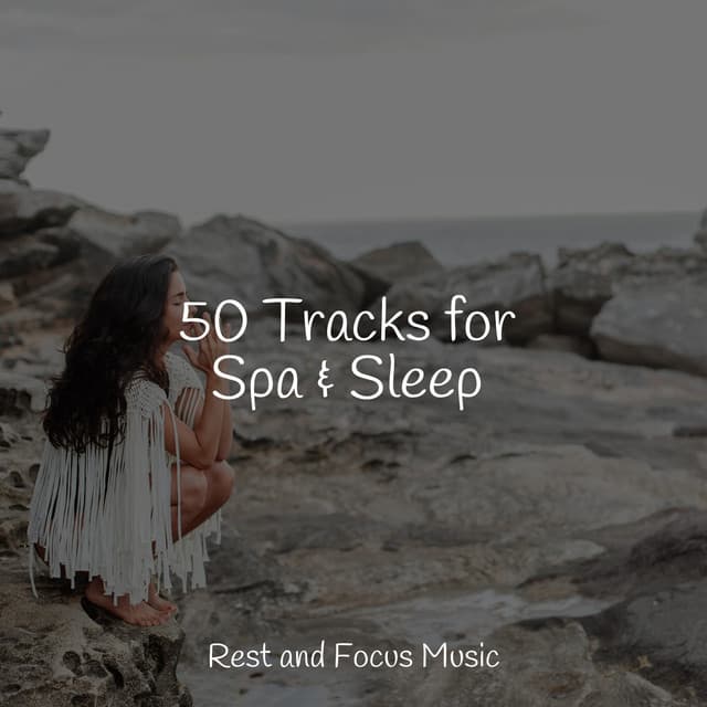 50 Tracks for Spa & Sleep - Native American Flute